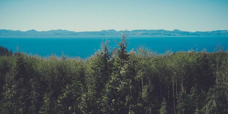 上海宝山区工厂车间工控电脑维护与防尘防潮解决方案 | 专业IT服务指南