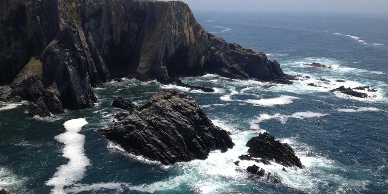 上海杨浦区高校学生必读：笔记本电脑清灰保养与性能优化全攻略 | 专业网络维护与IT服务指南