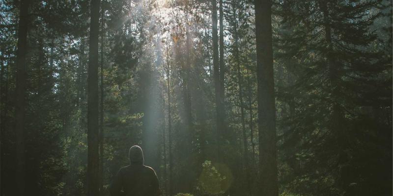 上海电脑清灰除尘保养全攻略：专业IT服务助您延长设备寿命