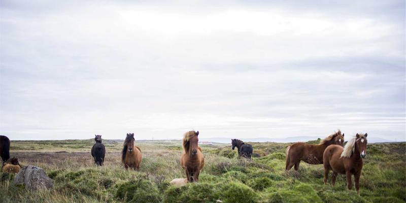 上海电脑维修34：专业网络维护、IT服务与数据恢复全攻略