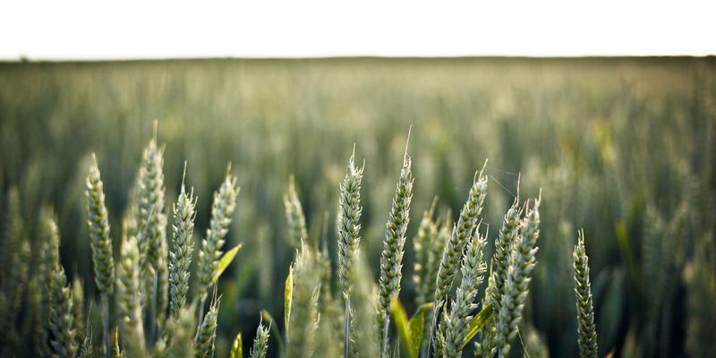 上海笔记本电脑主板维修全攻略：上门服务、常见故障诊断与维修成本深度解析