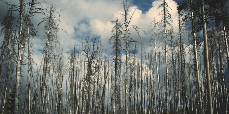 上海笔记本电脑屏幕维修与更换指南：原装屏与高性价比兼容屏的明智选择