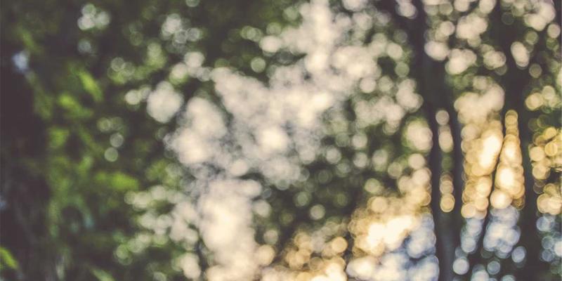 上海静安区中小企业如何选择靠谱的IT外包伙伴？电脑维修、网络维护与数据恢复全指南