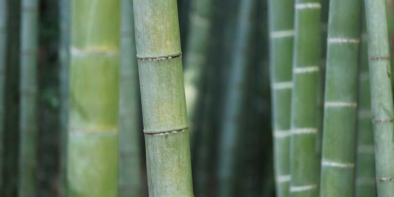 守护企业数字生命线：上海浦东新区专业数据备份与灾难恢复方案制定指南